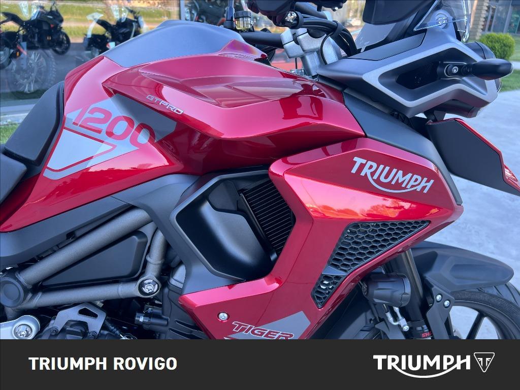 TRIUMPH Tiger 1200 GT Pro Abs