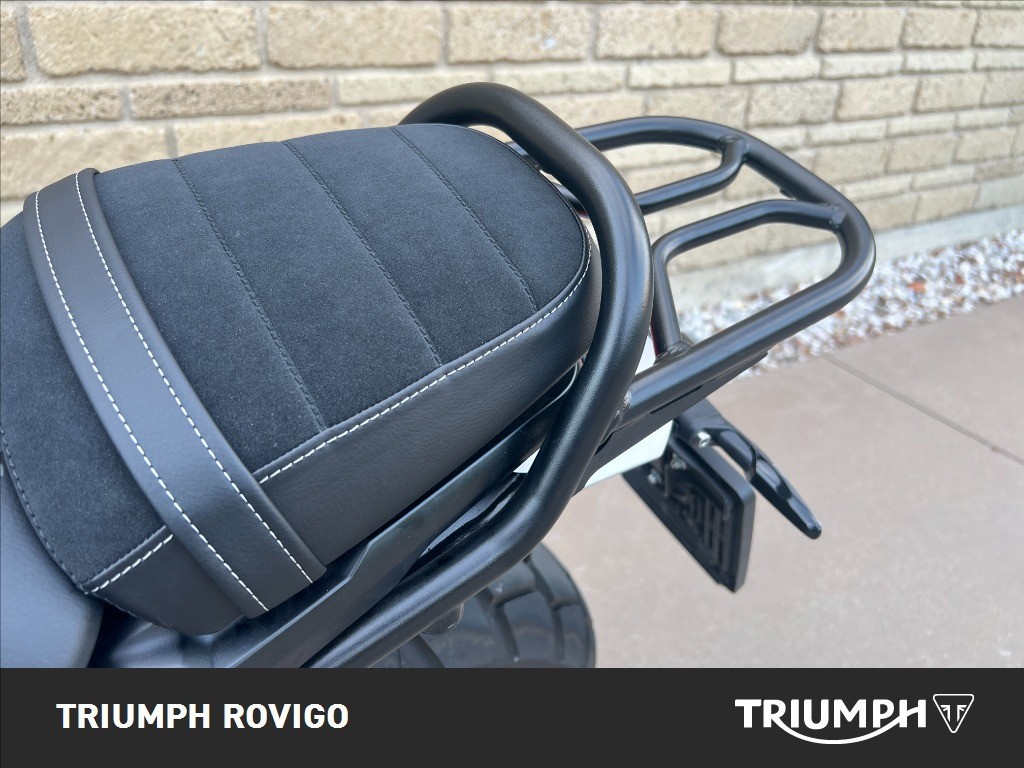 TRIUMPH Scrambler 900 Abs