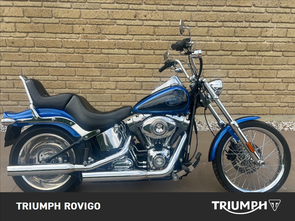 HARLEY-DAVIDSON Softail 1584 Custom
