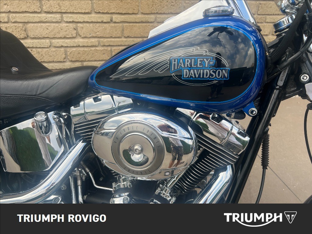 HARLEY-DAVIDSON Softail 1584 Custom